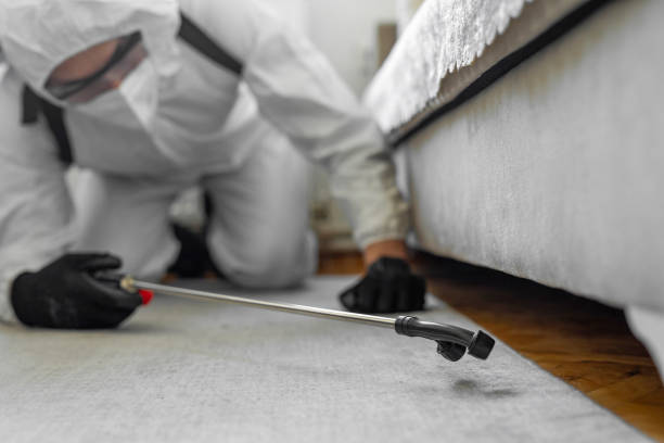 Professional Termite Control technician working in Ruleville, MS