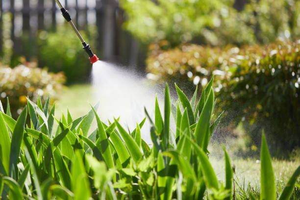 24/7 Emergency Termite Control experts in Ruleville, MS