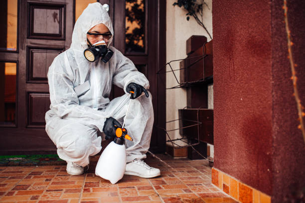 Reliable Termite Control contractor in Ruleville, MS by Nex Pest Control